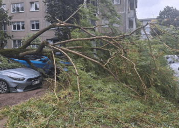 Po savaitgalio audros Lietuvoje vis dar dešimtys tūkstančių be elektros: kompensacijos jau skaičiuojamos valandomis