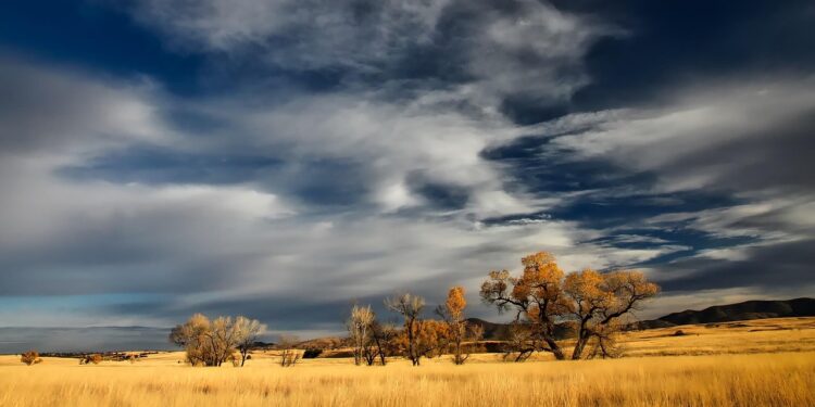 Iliustracija: grassland, trees, clouds, sky, patagonia, landscape, fall, autumn, scenic, outdoors, nature, cloudy, cloudy sky, sky, patagonia, patagonia, fall, fall, fall, fall, autumn, autumn, autumn, autumn, autumn, cloudy, cloudy sky, cloudy sky