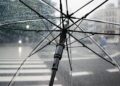 Iliustracija: umbrella, rain, nature, wet, weather, cold, raindrops, clear umbrella, city, crosswalk, storm, rainy, parasol, water