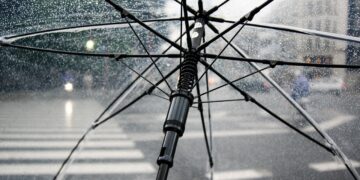 Iliustracija: umbrella, rain, nature, wet, weather, cold, raindrops, clear umbrella, city, crosswalk, storm, rainy, parasol, water