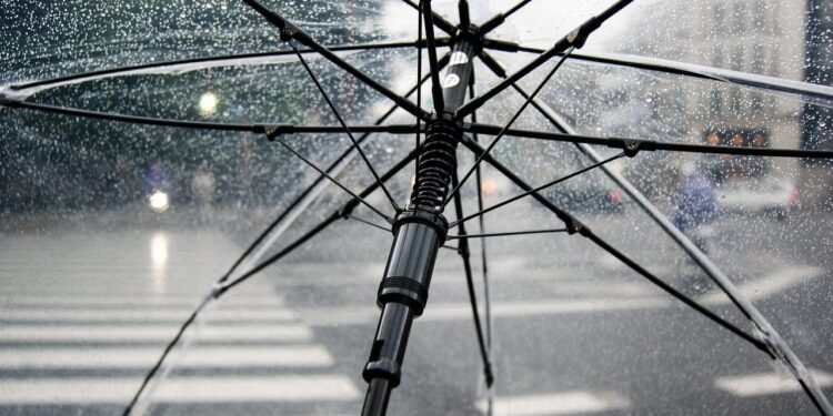 Iliustracija: umbrella, rain, nature, wet, weather, cold, raindrops, clear umbrella, city, crosswalk, storm, rainy, parasol, water