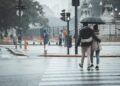 Iliustracija: couple, pedestrian, rain, raining, relationship, nature, together, street, outdoors