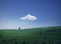 Iliustracija: fields, farm, house, farmland, agriculture, horizon, cloud, sky, blue sky, nature, rural, countryside, landscape, farm, farm, farm, farm, farm, house, farmland, agriculture, agriculture, cloud, cloud, sky, blue sky, blue sky, blue sky, nature