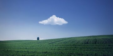 Iliustracija: fields, farm, house, farmland, agriculture, horizon, cloud, sky, blue sky, nature, rural, countryside, landscape, farm, farm, farm, farm, farm, house, farmland, agriculture, agriculture, cloud, cloud, sky, blue sky, blue sky, blue sky, nature