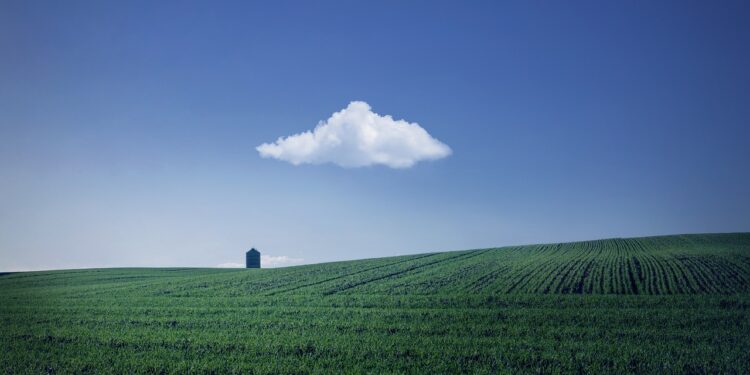 Iliustracija: fields, farm, house, farmland, agriculture, horizon, cloud, sky, blue sky, nature, rural, countryside, landscape, farm, farm, farm, farm, farm, house, farmland, agriculture, agriculture, cloud, cloud, sky, blue sky, blue sky, blue sky, nature