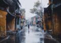 Iliustracija: person, road, street, buildings, rain, nature, rainy, urban, walk, lonely, city, hoi an, vietnam
