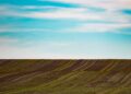 Iliustracija: landscape, land, farm, grass, plain, nature, field, sky, clouds
