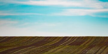 Iliustracija: landscape, land, farm, grass, plain, nature, field, sky, clouds