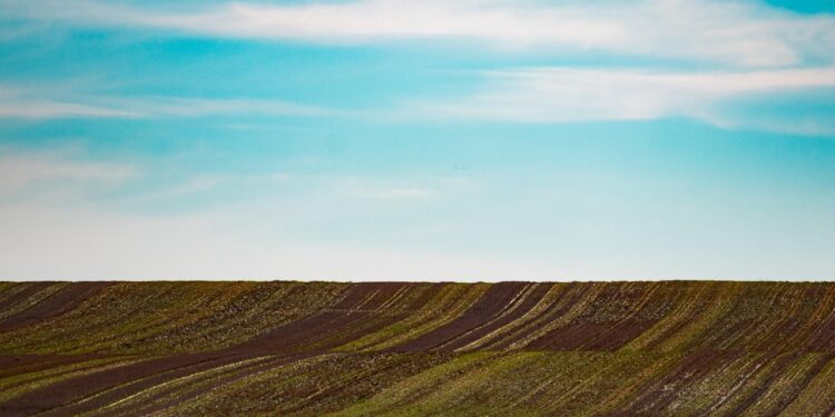 Iliustracija: landscape, land, farm, grass, plain, nature, field, sky, clouds