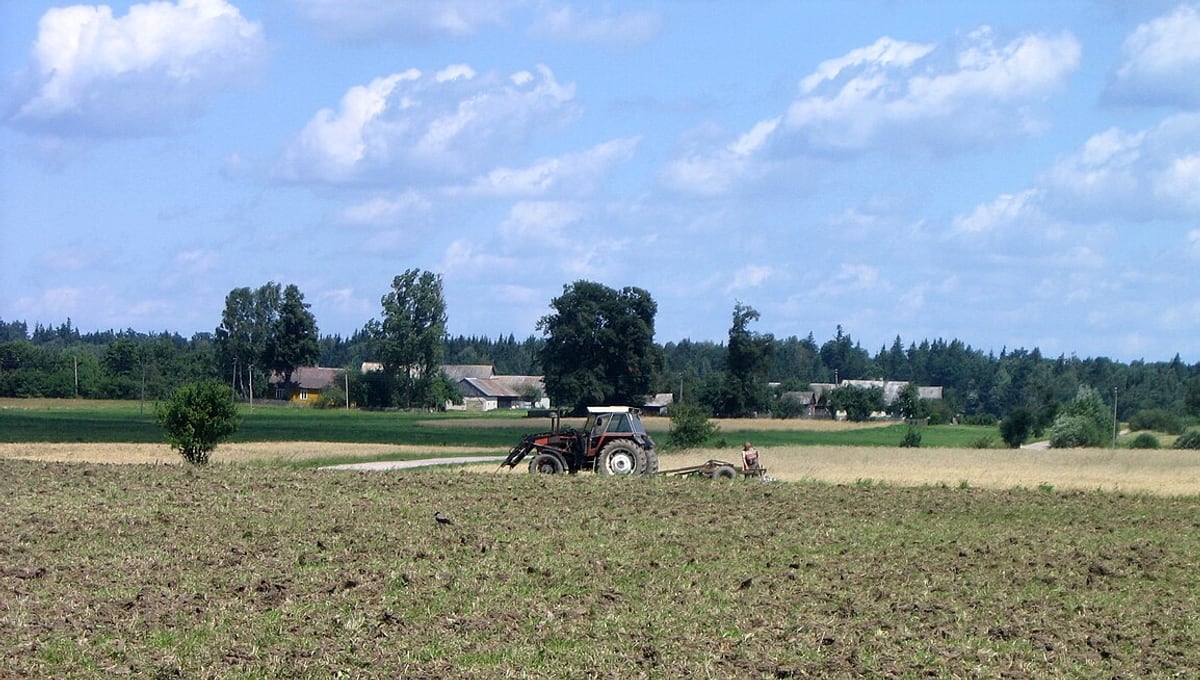 Ūkininkams – daugiau kaip 67 mln. eurų investicijoms: parama gali pakeisti ūkio kasdienybę — iliustracija straipsnyje