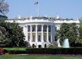 Trumpas ir Xi kuria karštąją liniją suskilusiame DI pasaulyje