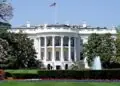 Trumpas ir Xi kuria karštąją liniją suskilusiame DI pasaulyje