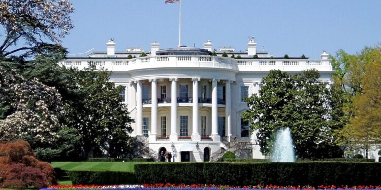 Trumpas ir Xi kuria karštąją liniją suskilusiame DI pasaulyje