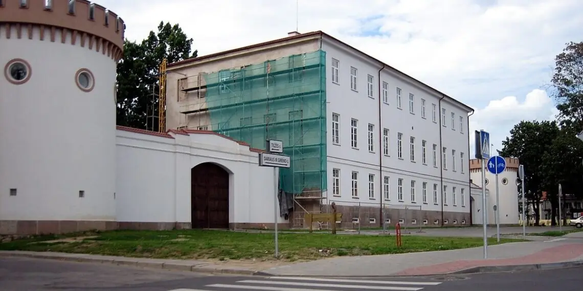 Kariniauskas be skausmų: 31 balas pakėlė Tauragę