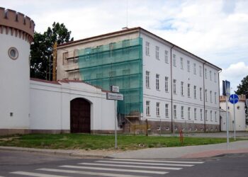 Kariniauskas be skausmų: 31 balas pakėlė Tauragę