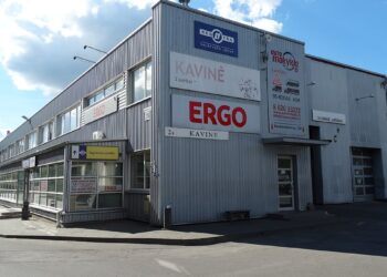 Kaip atnaujinti vairuotojo pažymėjimą internetu: žingsniai, dokumentai ir terminai