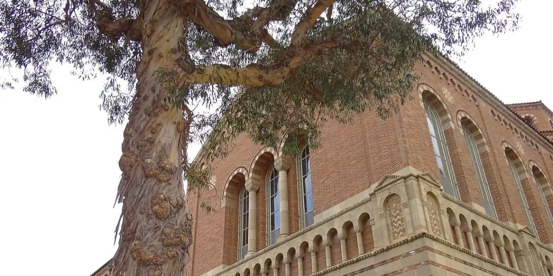 UCLA mokslininkai vadovaus 75 mln. dolerių kvantiniams tyrimams