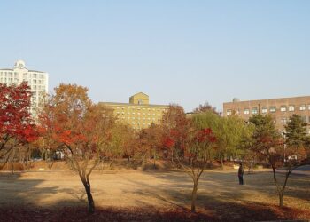 Sungkyunkwan mokslininkai 12 valandų seka Parkinsono vaistų poveikį