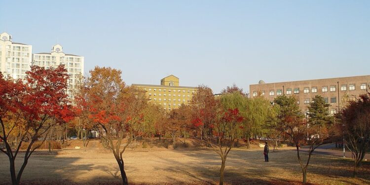 Sungkyunkwan mokslininkai 12 valandų seka Parkinsono vaistų poveikį