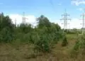 Kaip pakeisti nepriklausomą elektros tiekėją: sutarties nutraukimo ir naujo plano pasirinkimo žingsniai