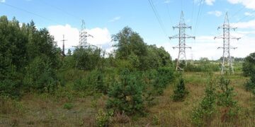 Kaip pakeisti nepriklausomą elektros tiekėją: sutarties nutraukimo ir naujo plano pasirinkimo žingsniai