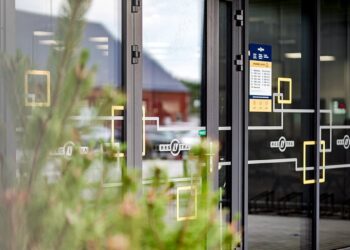 Kaip užregistruoti automobilį internetu: veiksmai, dokumentai ir kainos