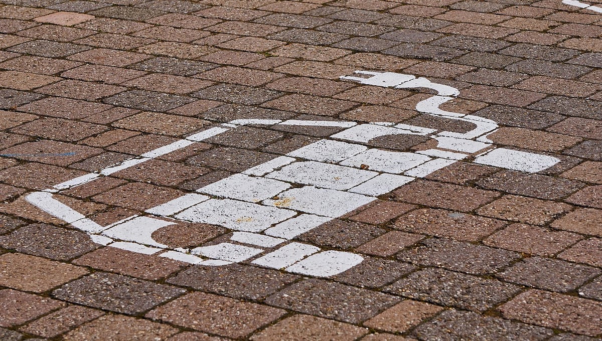 Kevinas Williamsas atrinko šešis geriausius kiniškus elektromobilius — iliustracija straipsnyje