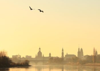 Vokietijos mokslininkai ligas pagal kūno kvapą atskyrė penkiomis bangomis