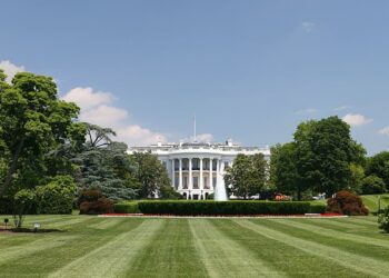 Trumpas Vašingtone pristatė DI robotą 29 tūkst. svetainių informacijai