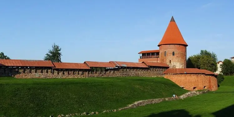 Maslobojevas Kaune pratęsė pergalių seriją po 101 kg išbandymo
