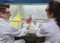 Siūloma sudaryti palankesnes sąlygas biomedicininiams tyrimams: Vyriausybė pritarė žalos be kaltės modeliui