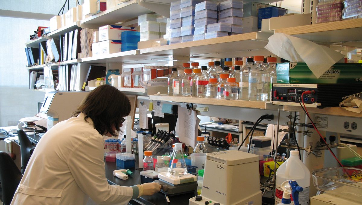 Siūloma sudaryti palankesnes sąlygas biomedicininiams tyrimams: Vyriausybė pritarė žalos be kaltės modeliui — iliustracija