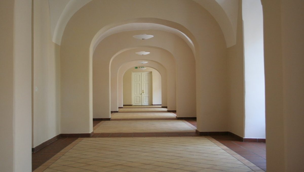 GPM lengvata už mokslą: kaip susigrąžinti dalį sumokėtų pinigų — iliustracija straipsnyje