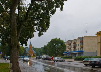Pasieniečiai sulaikė dar vieną, įtariama, tarnyba piktnaudžiavusį pareigūną
