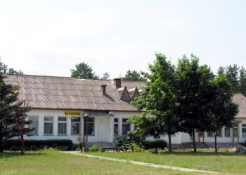 Lietuvos paštas ir „Mamų unija“ kviečia padėti vėžiu sergantiems vaikams: aukoti bus galima visuose pašto skyriuose