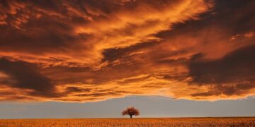 Iliustracija: tree, field, sunset, clouds, sky, horizon, single tree, meadow, dusk, twilight, overcast, overcast sky, rural, nature…
