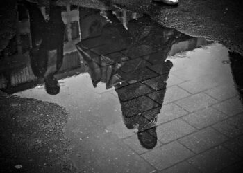 Iliustracija: rain, puddle, water, mirroring, wet, weather, raining, nature, asphalt, black and white, reflection, cobblestones, ground, pavement, stone, road, paving stones