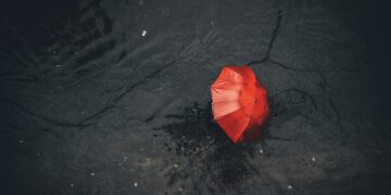 Iliustracija: rain, umbrella, pavement, nature, red, black