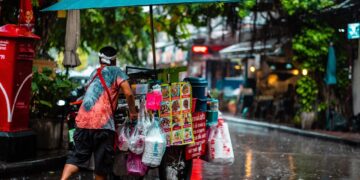 Iliustracija: man, cart, street food, culture, nature, rain, umbrella, puddle, weather, wet, city