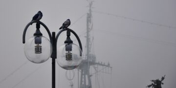Iliustracija: pigeons, birds, lamps, lightbulbs, mast, foggy, misty, city, cloudy, nature, street lamp, wires, autumn, fall, morning, rainy, warship mast, seacoast