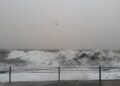 Iliustracija: sea, nature, water, natural, wave, storm, ecology, landscape, wind, environment, day, scene, cloudy, flood, weather, autumn, winter, rain, street, disaster, damage, change, danger, meteorology, gray change, gray storm