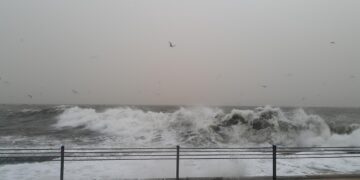 Iliustracija: sea, nature, water, natural, wave, storm, ecology, landscape, wind, environment, day, scene, cloudy, flood, weather, autumn, winter, rain, street, disaster, damage, change, danger, meteorology, gray change, gray storm