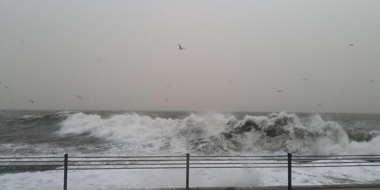Iliustracija: sea, nature, water, natural, wave, storm, ecology, landscape, wind, environment, day, scene, cloudy, flood, weather, autumn, winter, rain, street, disaster, damage, change, danger, meteorology, gray change, gray storm