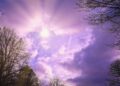 Iliustracija: clouds, trees, sun, cloudy, autumn day, winter's day, nature