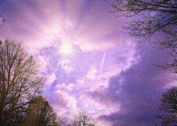 Iliustracija: clouds, trees, sun, cloudy, autumn day, winter's day, nature