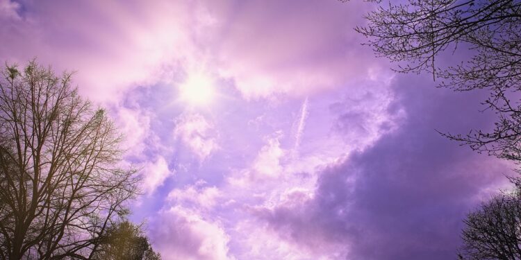 Iliustracija: clouds, trees, sun, cloudy, autumn day, winter's day, nature