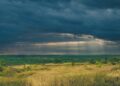 Iliustracija: autumn, meadow, rain clouds, sky, cloudy day, overcast, nature, landscape