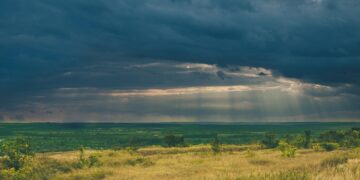 Iliustracija: autumn, meadow, rain clouds, sky, cloudy day, overcast, nature, landscape